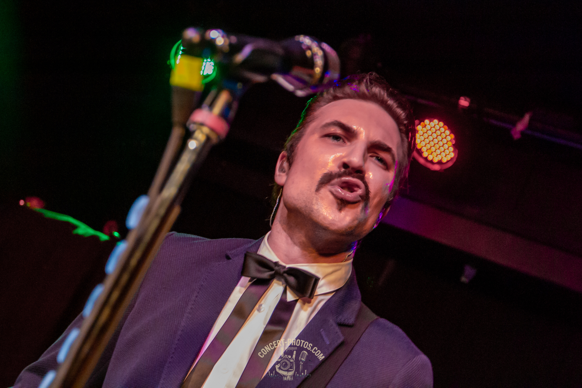 Royal Republic 2015 in Hannover